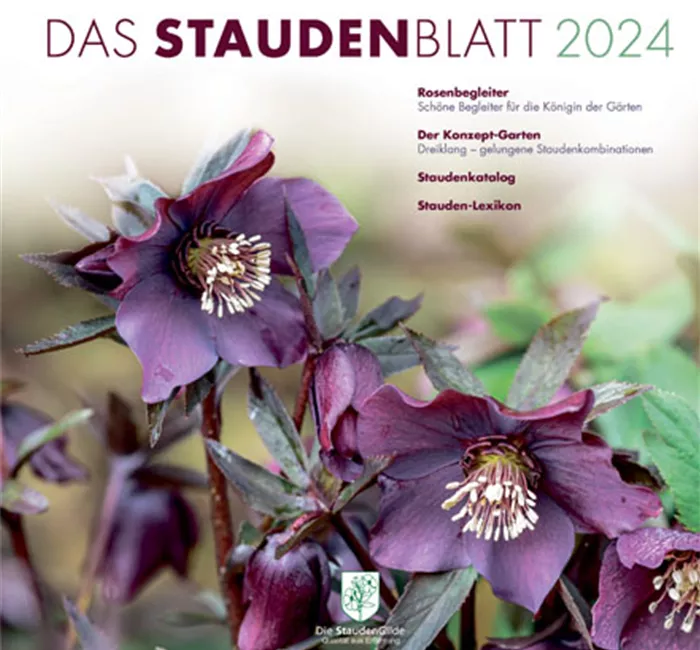 Info-Material Info-Material