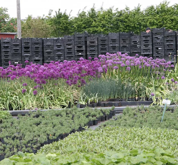 Für Wiederverkäufer